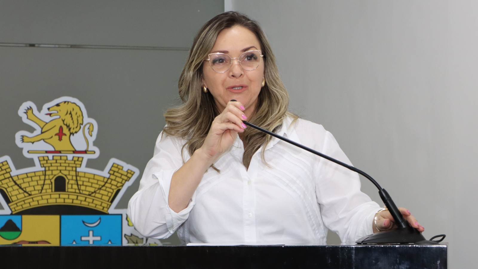 MICHELI VAZ FAZ MOÇÃO DE APLAUSOS À GRANDINO PARTICIPAÇÕES