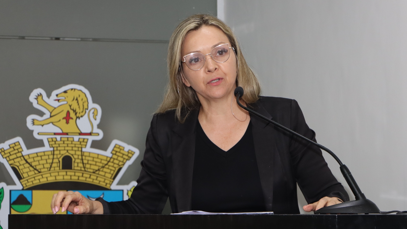 MICHELI VAZ ABORDA REQUERIMENTO REFERENTE A VEÍCULO PARA TRANSPORTE DE SERVIDORES PÚBLICOS 