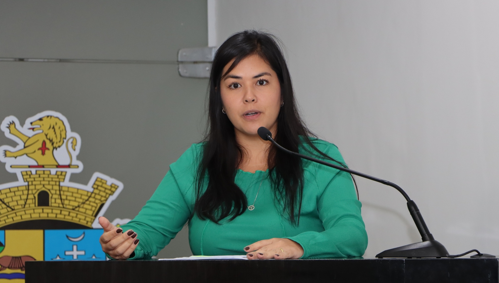CINTIA YAMAMOTO DEFENDE A CONVOCAÇÃO DO SECRETÁRIO DE ADMINISTRAÇÃO E NEGÓCIOS JURÍDICOS PARA PRESTAR ESCLARECIMENTOS À CÂMARA