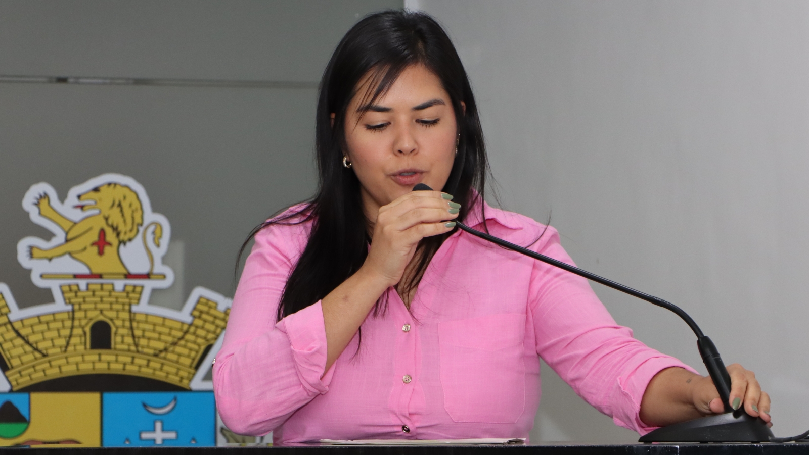 CINTIA YAMAMOTO DIRECIONA SÉRIE DE REQUERIMENTOS COM QUESTÕES SOBRE A SANTA CASA