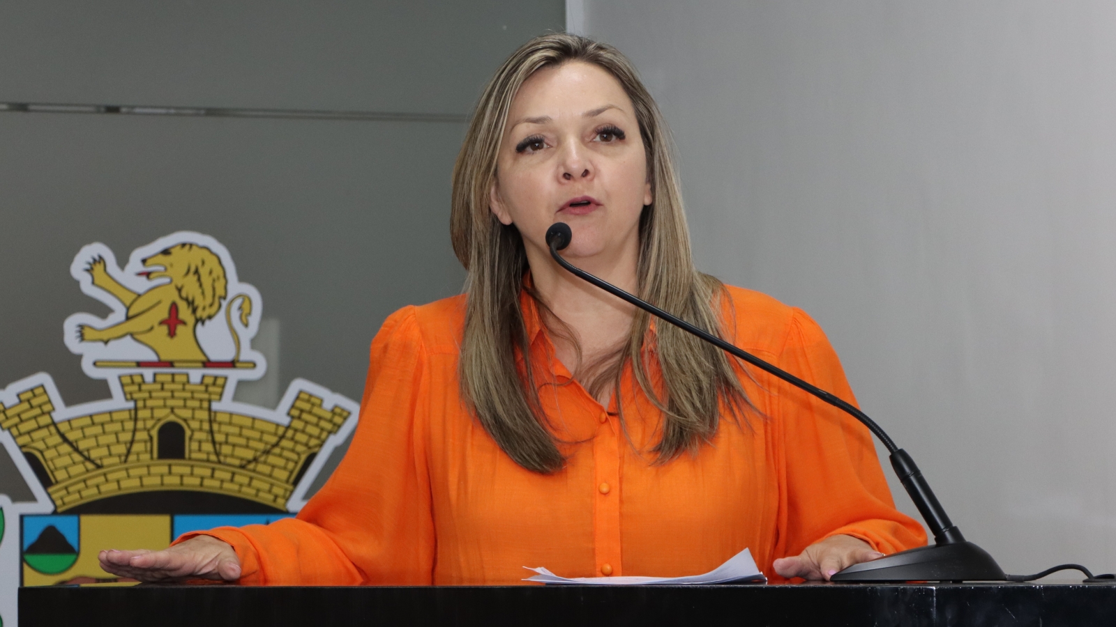 MICHELI VAZ COMENTA SOBRE OS EDITAIS DE FOMENTO À CULTURA E A SANTA CASA