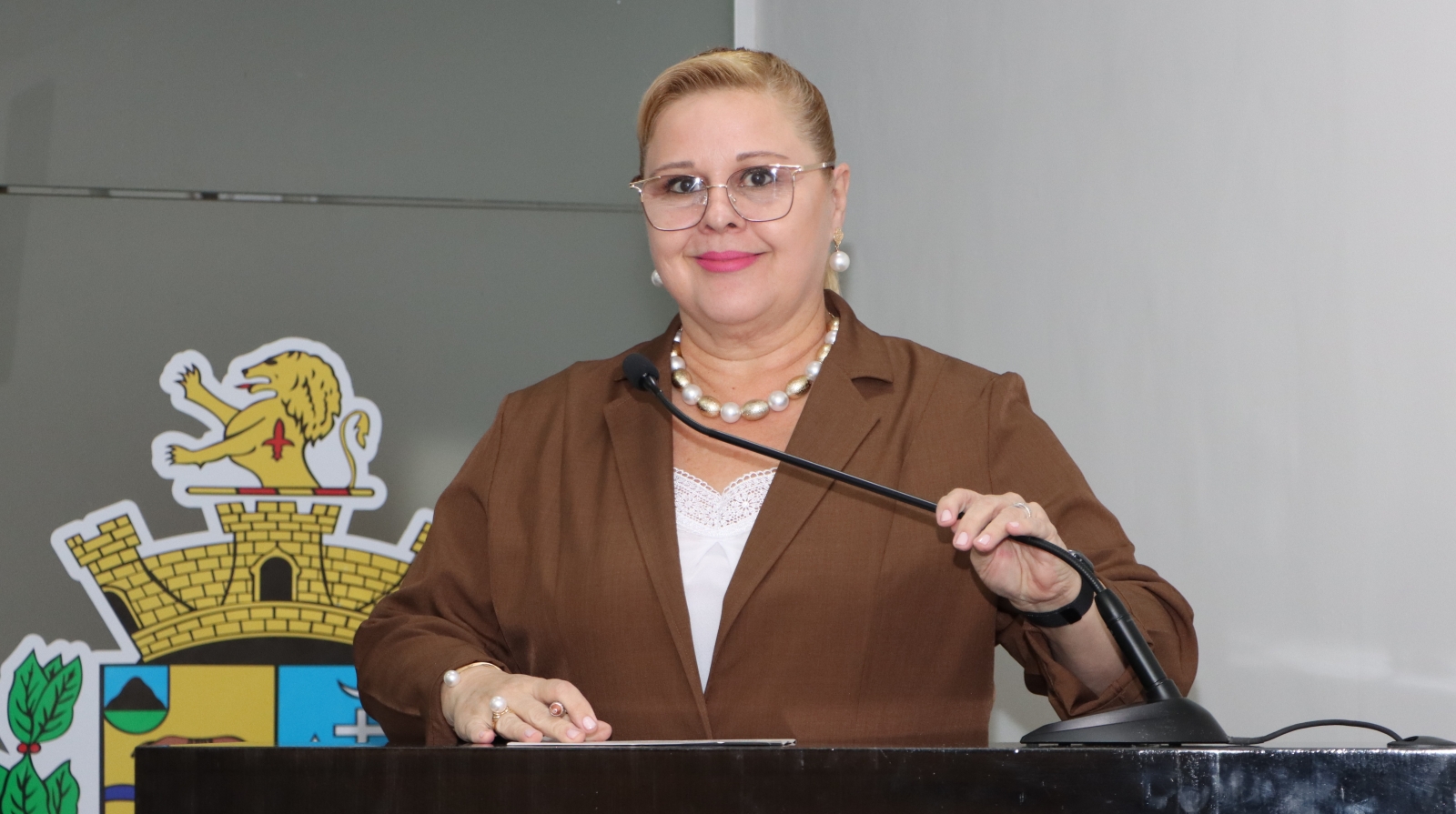 ELAINE MIRANDA COMENTA SOBRE A FRENTE PARLAMENTAR DA JUVENTUDE DA ALESP