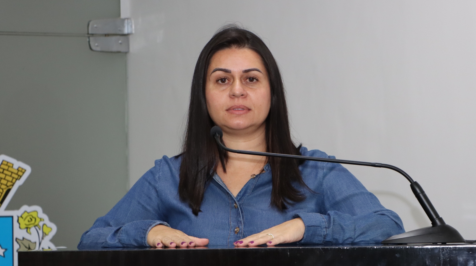 GABRIELA XAVIER APRESENTA DEMANDAS SOBRE ANIMAIS DE GRANDE PORTE