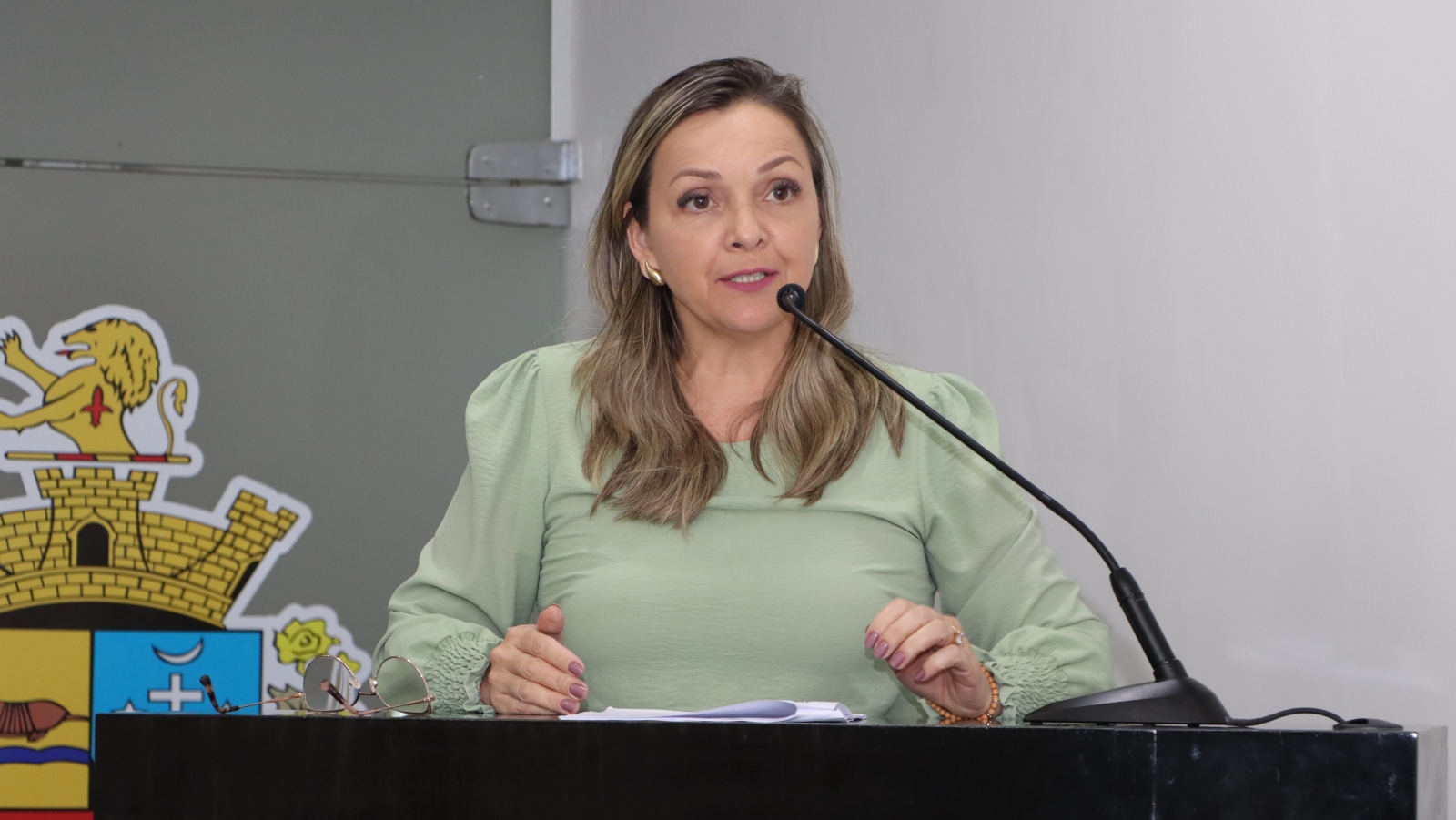 MICHELI VAZ COMENTA SOBRE O EPISÓDIO DA NÃO PRESTAÇÃO DE ATENDIMENTO PELA GCM A MÃES ATÍPICAS