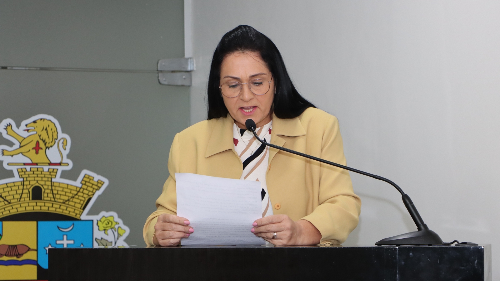 ROSANA DO SUPERMERCADO FAZ REQUERIMENTO SOBRE A AV. DR. OLAVO RIBEIRO DE SOUZA